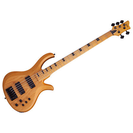 BAJO SCHECTER ELECT. RIOT-5 SESSION