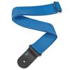 TAHALI PLANET WAVE P/GUIT PWS102