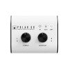 INTERFAZ BLACKSTAR ESTEREO POLAR GO