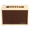 COMBO BLACKSTAR P/GUIT ACOUSTIC:CORE 30