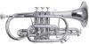 CORNETA ROY BENSON C/ESTUCHE CR-302S