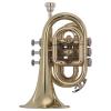 TROMPETA WESNER C/ESTUCHE MOD. PTP2000-L