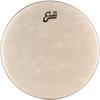 PARCHE EVANS 20 MOD. BD20CT