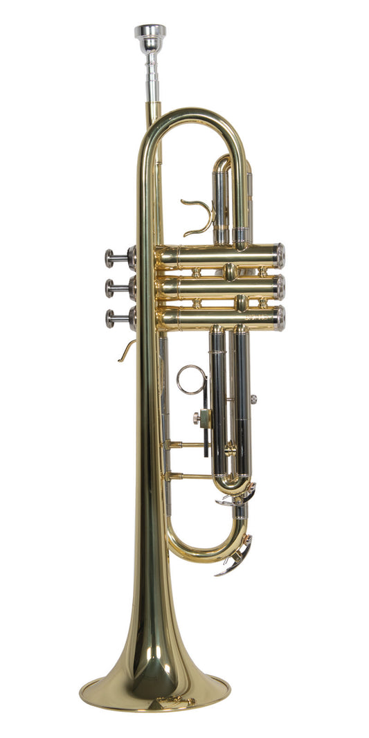 TROMPETA WESNER C/ESTUCHE PTR1000C-G