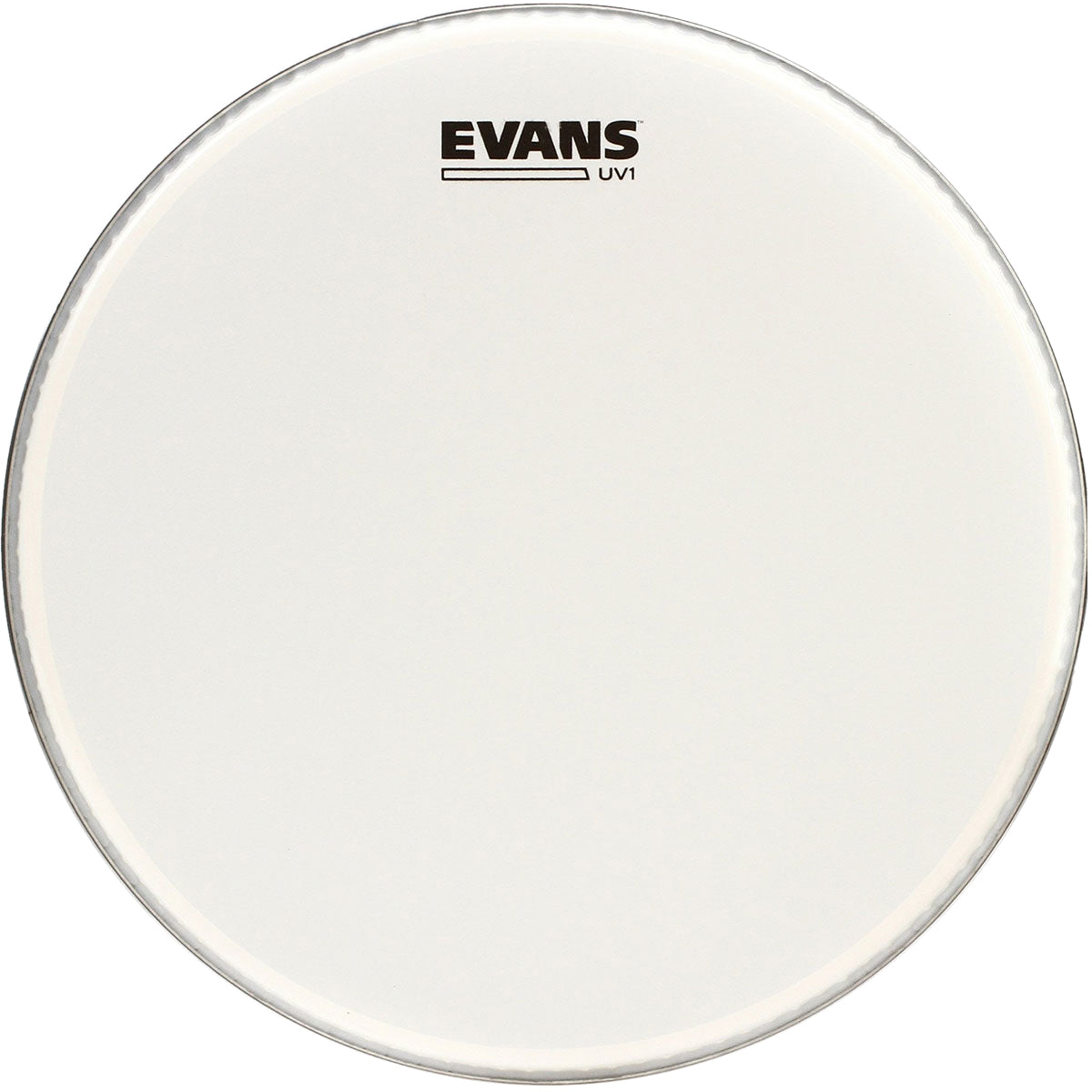 PARCHE EVANS 22 MOD. BD22UV1