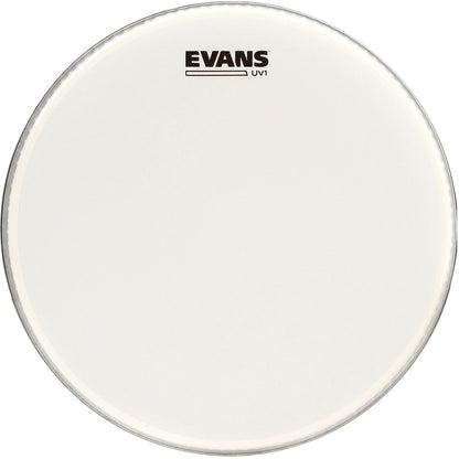 PARCHE EVANS 22 MOD. BD22UV1