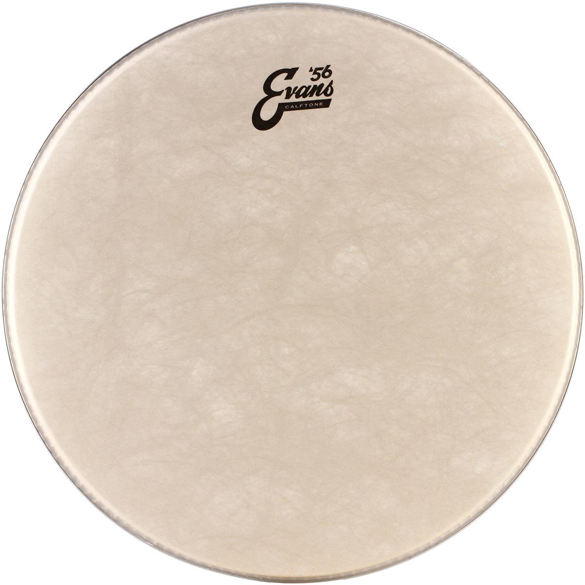 PARCHE EVANS 20 MOD. BD20CT
