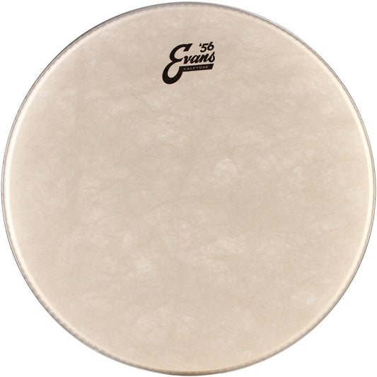 PARCHE EVANS 20 MOD. BD20CT