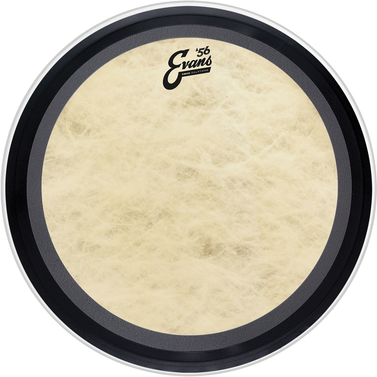 PARCHE EVANS 22 MOD. BD22EMADCT