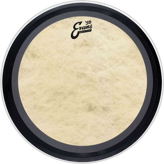 PARCHE EVANS 22 MOD. BD22EMADCT
