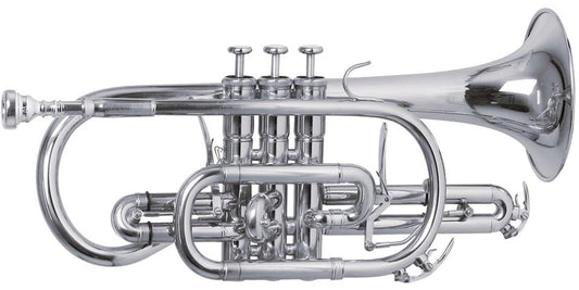 CORNETA ROY BENSON C/ESTUCHE CR-302S