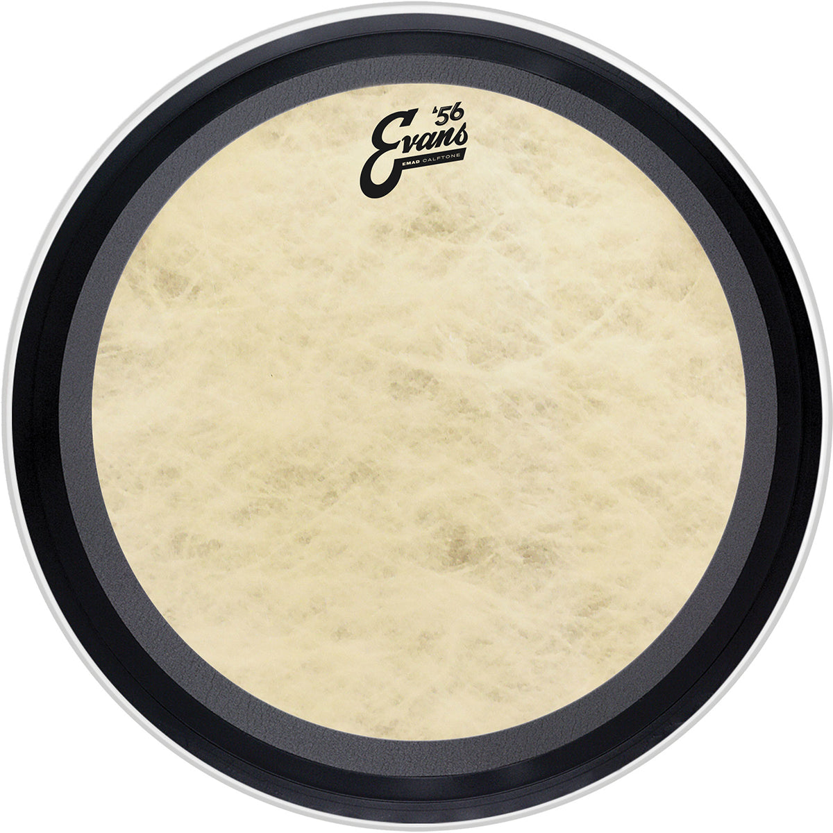 PARCHE EVANS 18 MOD. BD18EMADCT