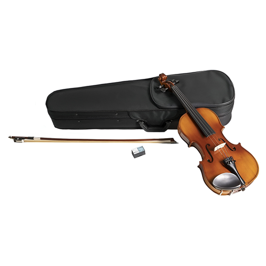 VIOLIN GEWA MOD. PS401611.401 4/4